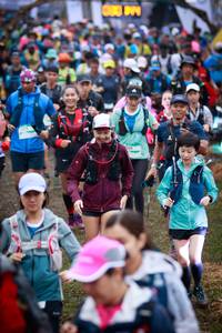 BIB: 650
                            <button type="button" onclick="openModal(13425894)" class="btn btn-primary btn-sm float-right btn-popup" data-toggle="modal" data-target=".modal-high-quality">
                        <i class="fas fa-shopping-cart"></i> Add to Cart
                    </button>
                                            <button type="button" onclick="isThisMe(13425894, true)" class="btn btn-success btn-sm float-right btn-popup btn-isme hidden" data-toggle="tooltip" data-placement="bottom" title="นี่คือรูปของคุณใช่ไหม คลิกที่นี่เพื่อเอาเข้าอัลบั้ม">
                        <i class="fas fa-plus"></i> Add to album
                    </button>
                    <button type="button" onclick="isThisMe(13425894, false)" class="btn btn-warning btn-sm float-right btn-popup btn-isnotme hidden">
                        <i class="fas fa-ban"></i> Remove from album
                    </button>